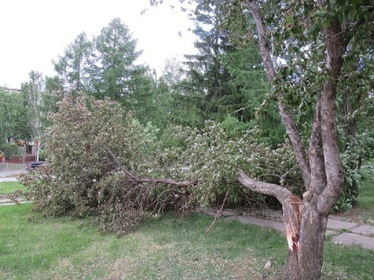Синоптики продлили предупреждение об опасных погодных явлениях в Зауралье