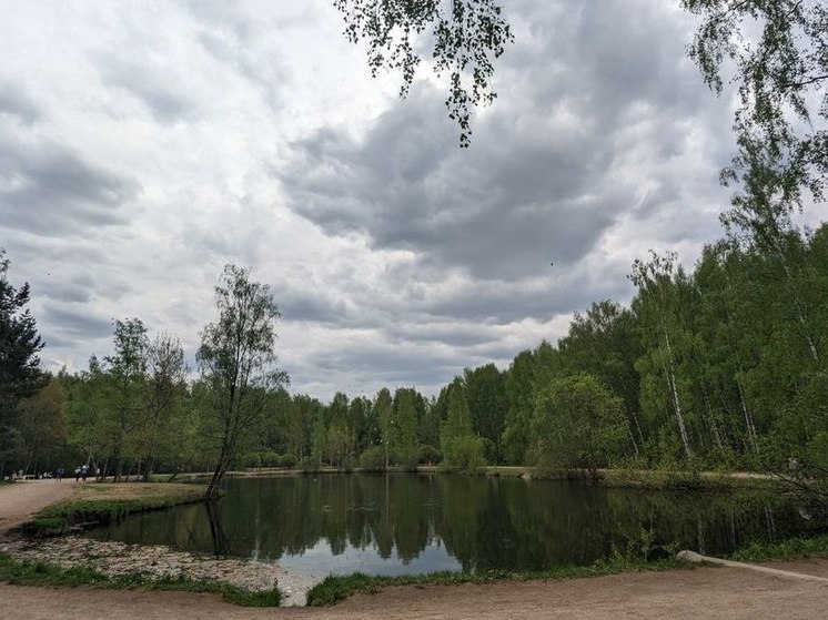Петербуржцев предупредили о кратковременном похолодании с 5 сентября