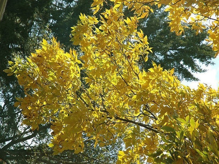 Синоптики пообещали, что сентябрь в Башкирии будет теплым