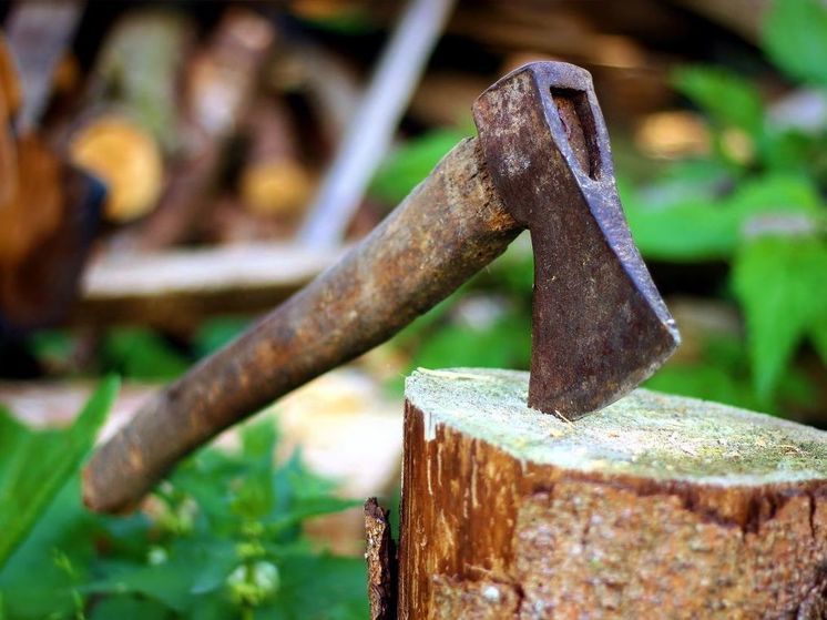 In the suburbs, a summer resident shot a neighbor in the leg who attacked him with an ax