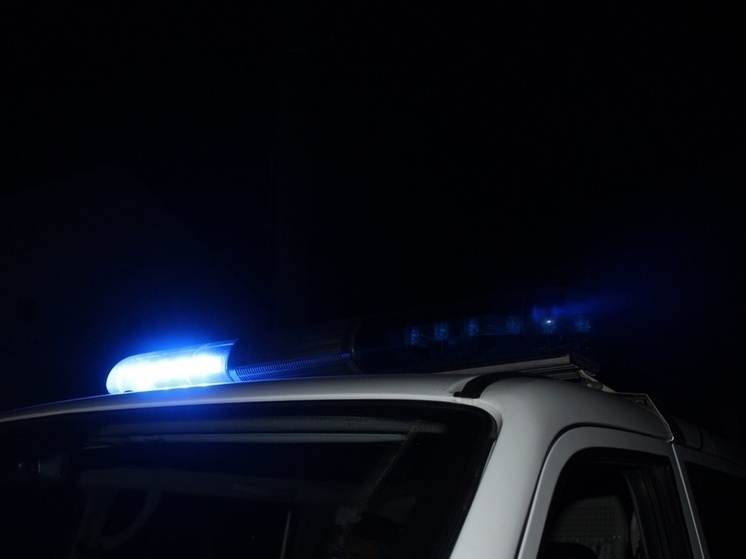 В Новосибирске спустя пять дней завершили поиски пропавшей 15-летней девушки