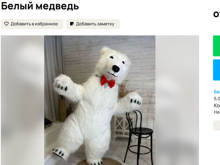 Красноярцам рассказали, сколько стоит заказать поздравление белого медведя из ТикТока