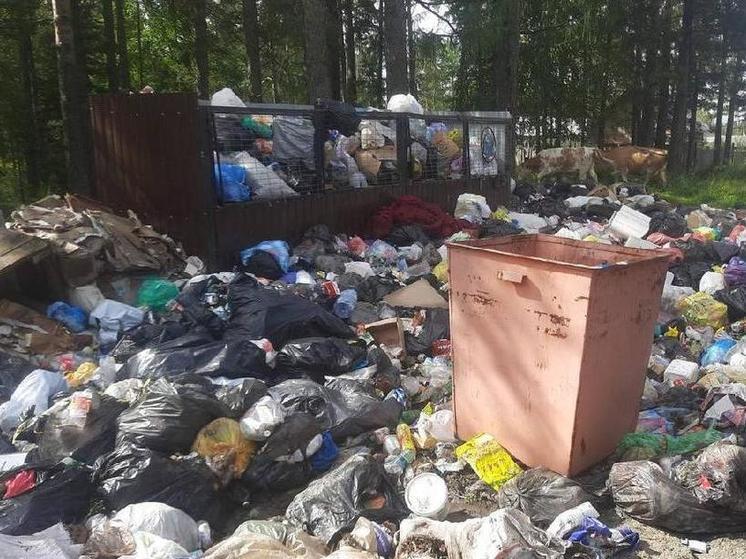 Живописный уголок Бурятии оказался завален мусорными пакетами