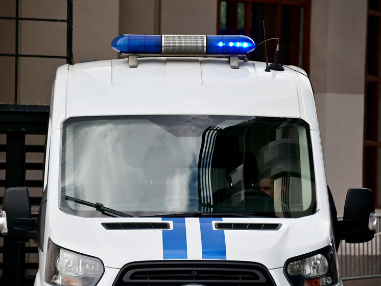 Пропавшую в Челябинске семилетнюю девочку нашли живой