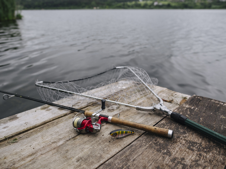 Рыбака с простреленной головой выловили из Новоладожского канала