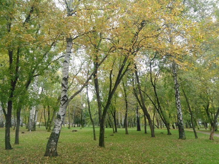 Первая осенняя неделя в Перми будет теплой