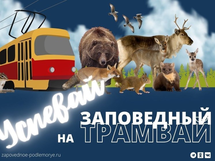 По Улан-Удэ проедет «заповедный трамвай»