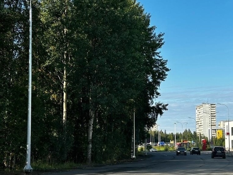 Дорога к Братьям Озеровым в Петрозаводске будет светлой