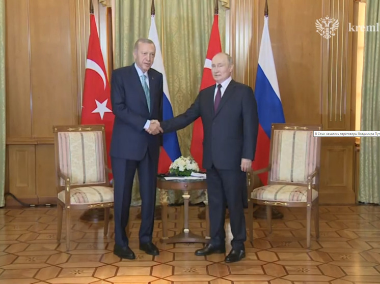 Во время переговоров с Эрдоганом в Сочи Путин анонсировал запуск первого блока АЭС «Аккую»