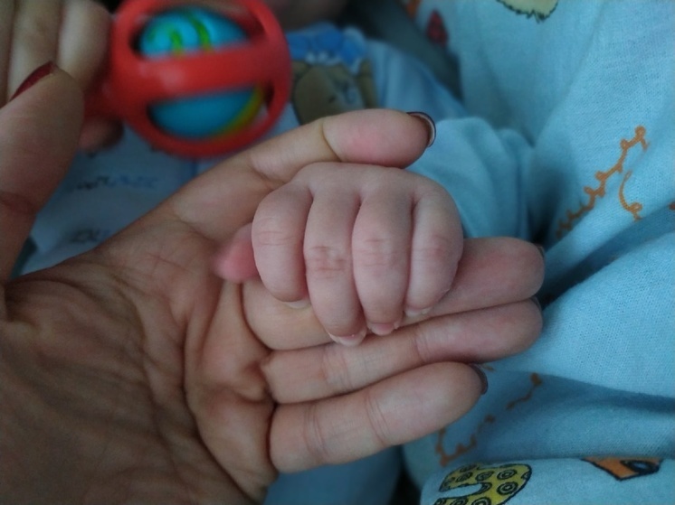 Школа для родителей недоношенных детей открылась в Вологде