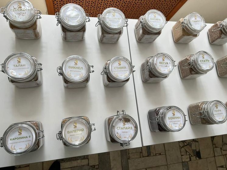 Аграрии Ставрополья планируют засеять озимыми 2 миллиона гектаров