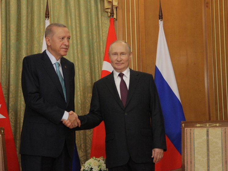 Путин и Эрдоган не обсуждали передачу Турцией Украине "азовцев"