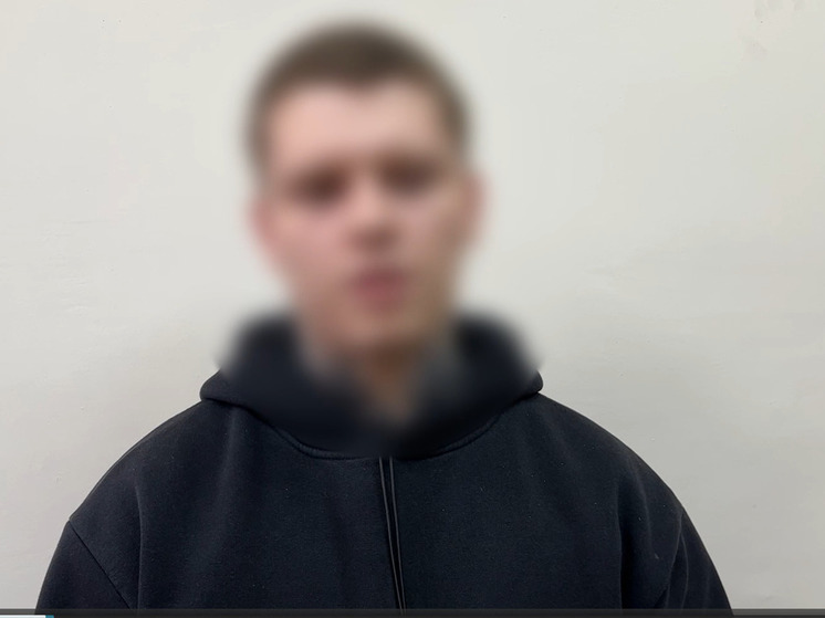 Житель  Татарстана обманул владимирку в процессе дистанционной сделки