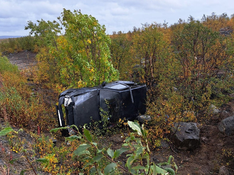 В районе Заполярного легковой автомобиль вылетел в кювет и перевернулся