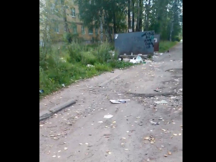 Жители Сегежи мечтают о клининге на замусоренной обочине дороги