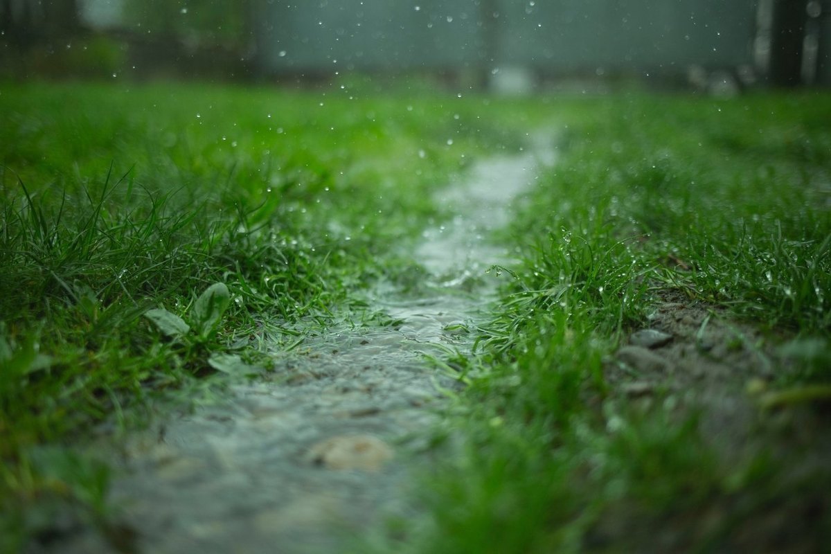 Во вторник в Воронежской области ожидается кратковременный дождь