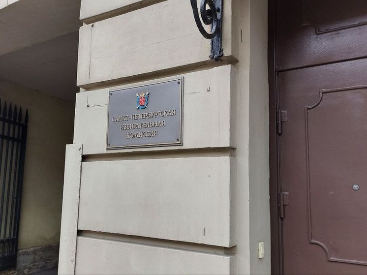 ЦИК не обнаружила нарушений в формировании УИК в Петербурге