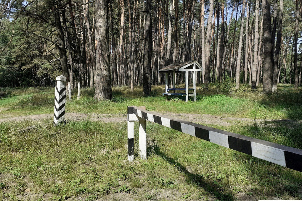 С 4 сентября в Курской области продлили ограничения на посещение лесов