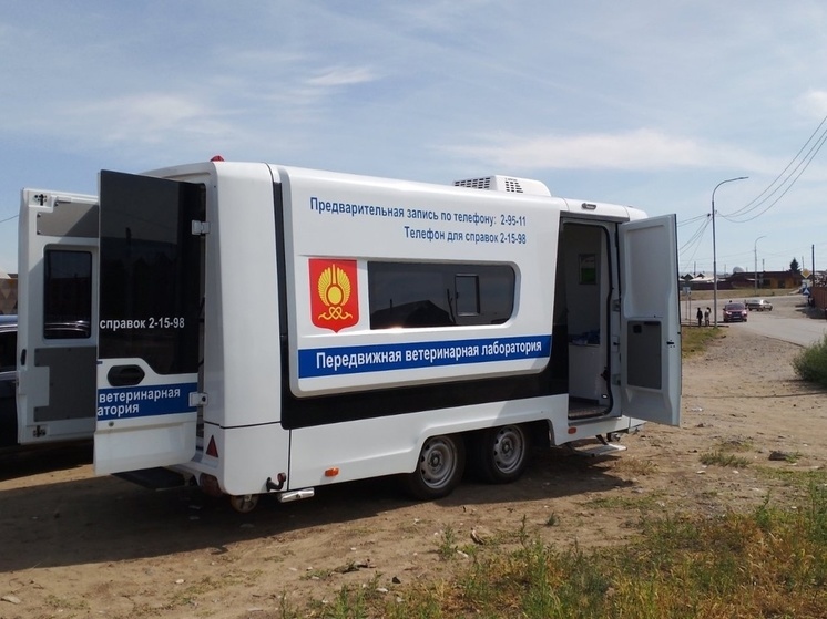 В Кызыле продолжает работу  мобильная ветеринарная клиника