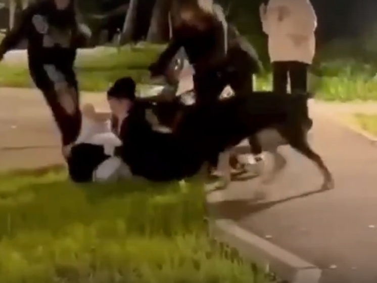 В соцсетяхпоявился видеоролик, где толпа агрессивно настроенных граждан натравливает собаку на женщину в хиджабе