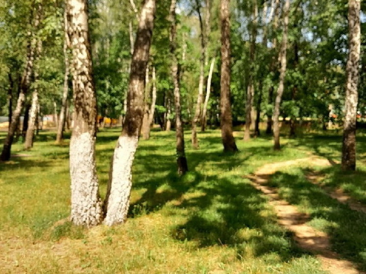 Сведения о курском парке имени Никитина внесли в ЕГРН