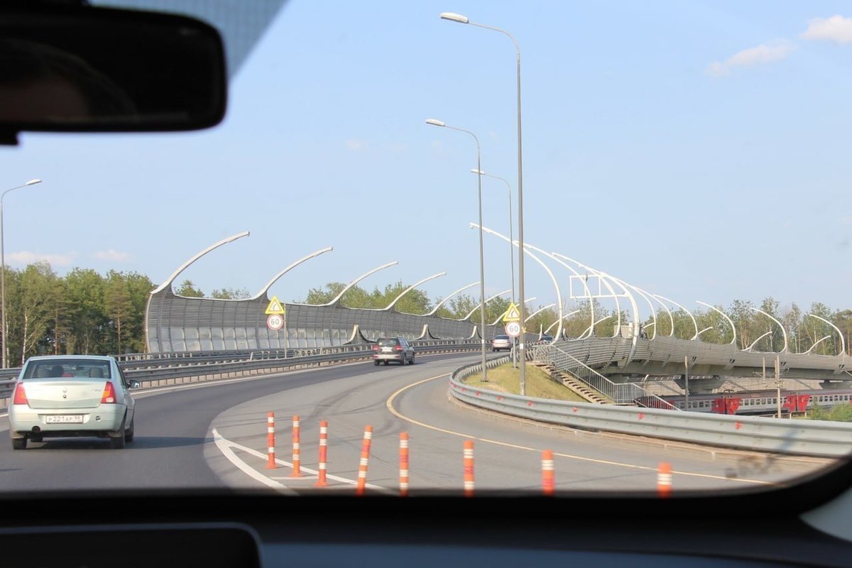 Женщина под наркотиками создала помехи водителям на Суздальском шоссе Петербурга