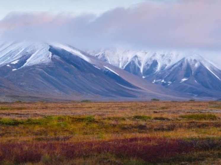 Во вторник в округе будет сыро и ветрено