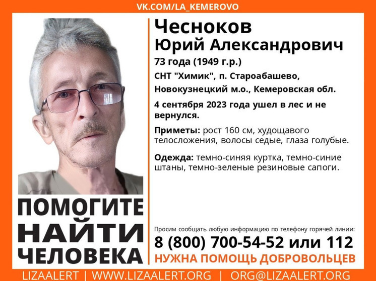Кузбассовец бесследно исчез в лесу
