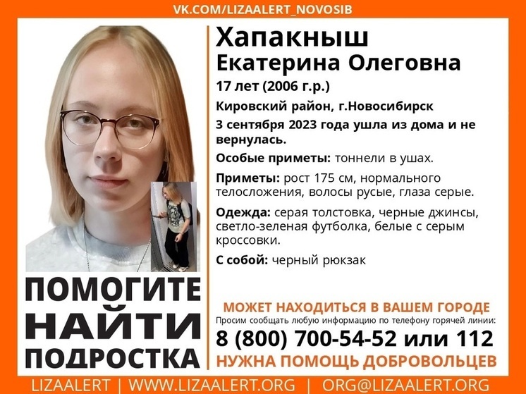 В Новосибирске разыскивают 17-летнюю девушку с тоннелями в ушах