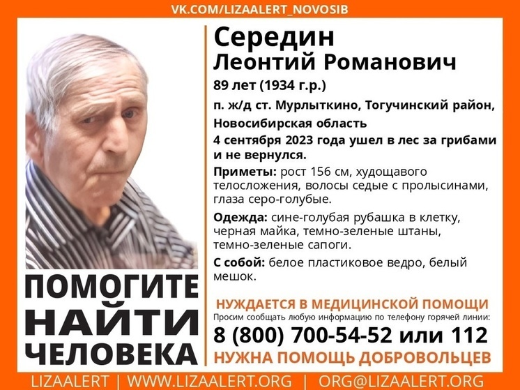Под Новосибирском 89-летний пенсионер ушёл в лес за грибами и пропал