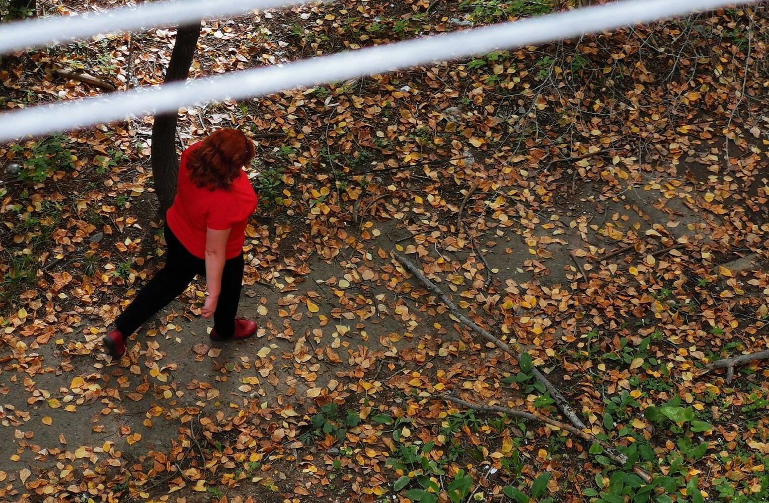 Опасные сухие ветки, грозящие упасть вниз, пугают жителей Авиагородка в Хабаровске: фото