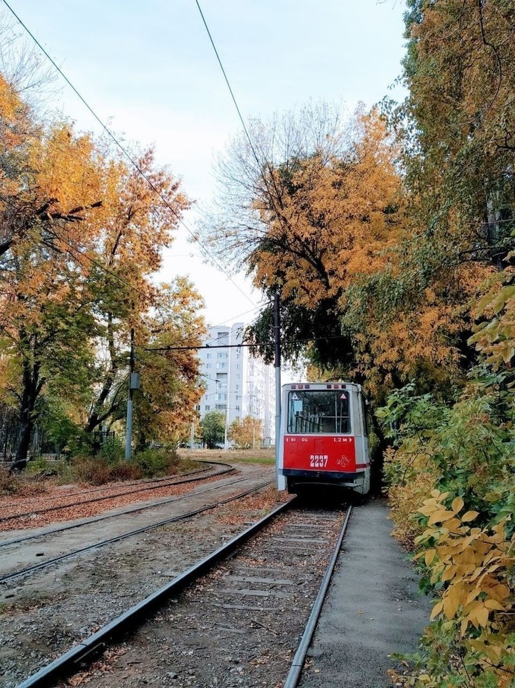 Скоростной трамвай в Саратове: движение на двух улицах ограничат до конца октября