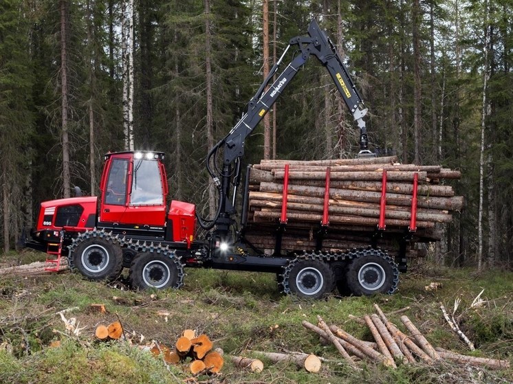 Минприроды Карелии передало функции лесопромышленной политики Минпромторгу