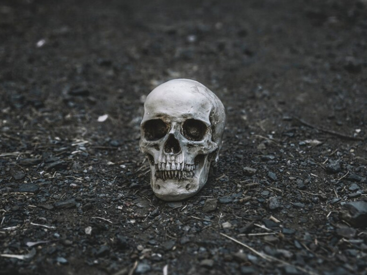 Найденный череп «хоббита» радикально изменил понимание учеными истории человечества
