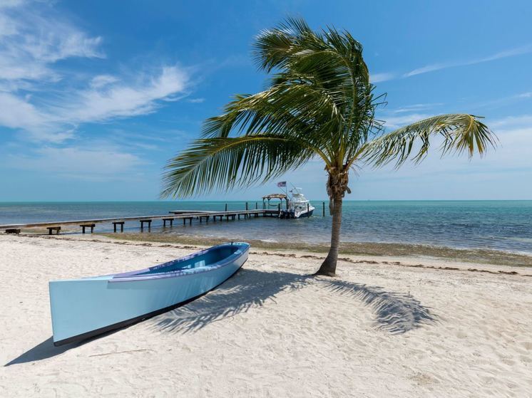 Россияне стали чаще брать кредиты на отдых