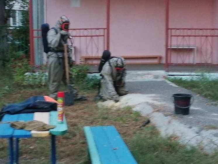 Пензенские спасатели защитили детей от нападения ос