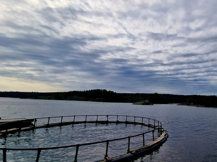 Форелеводов не пустили на одно из самых крупных озер Карелии