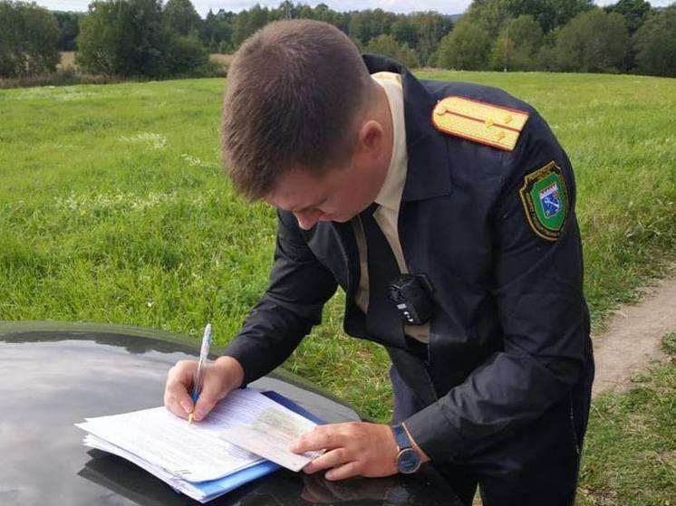 В ленинградских заказниках инспекторы потушили более 340 костров за лето