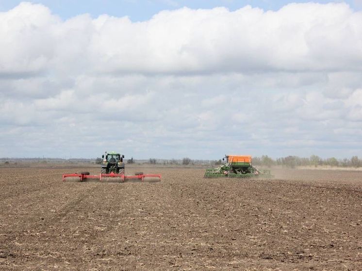 На Ставрополье приступили к севу озимого рапса