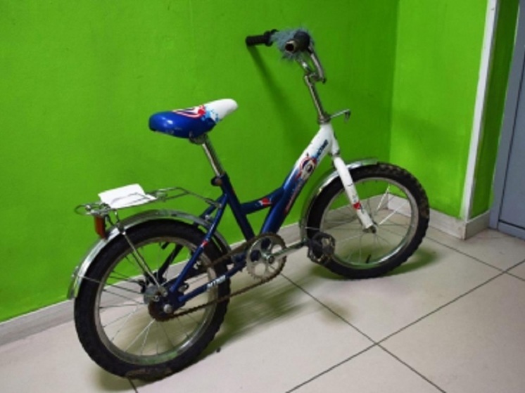 Полисмены НАО приютили покрытый мехом детский велосипед