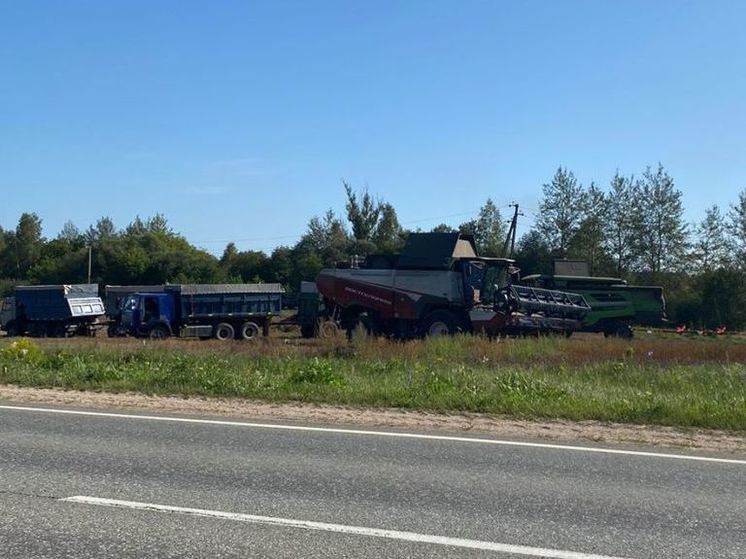 На Смоленщине обмолотили половину площадей зерновых и рапса