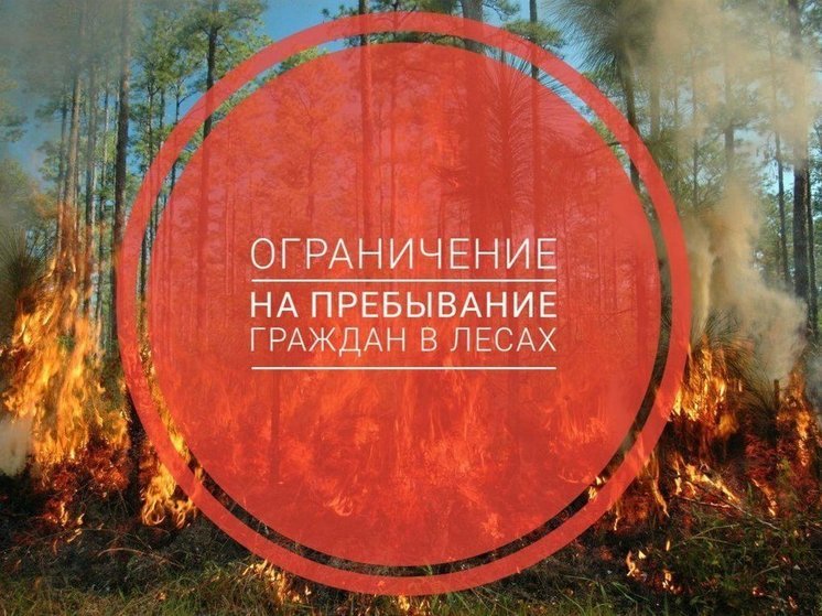 Жителям Калмыкии ограничили отдых в лесу