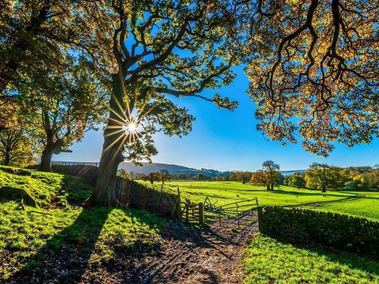 Синоптики 6 сентября обещают в Смоленске облачную погоду