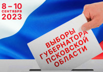 Уже на этих выходных в Псковской области состоится единый день голосования, в рамках которого будут подведены итоги 12 избирательных кампаний, в том числе выбран глава региона
