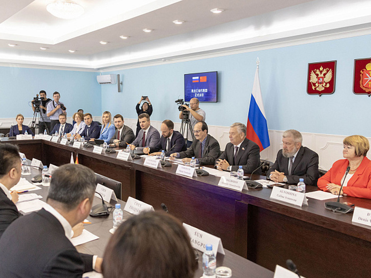Тулу посетила делегация КНР