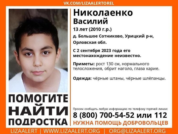 В деревне Большое Сотниково Урицкого района Орловской области пропал 13-летний Василий Николаенко