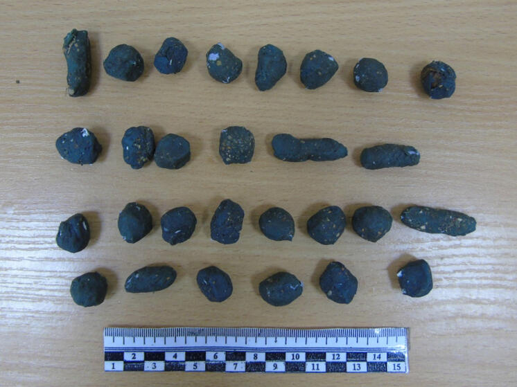 Под Вязьмой наркополицейские задержали крупного дилера