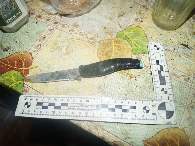 В Холм-Жирковском районе мать зарезала сына