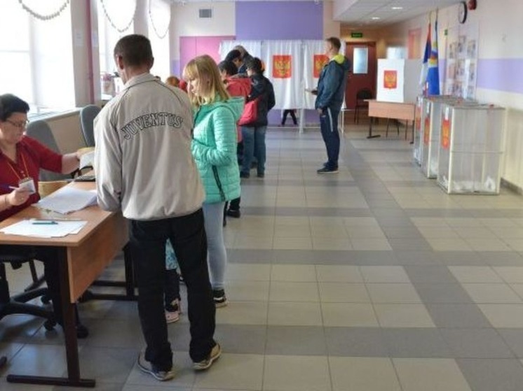 Выборы на Чукотке проконтролируют 233 общественных наблюдателя