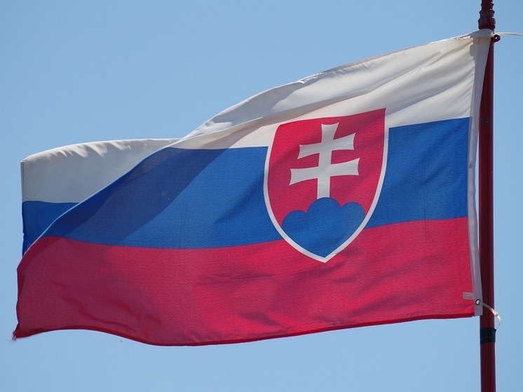 Guardian: Словакия после выборов может стать союзником России